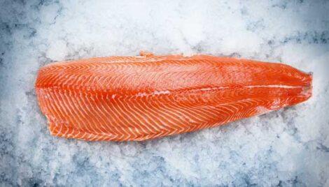 Gravlax Recipe